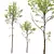 Spring Tree 3D Models Collection 3D model small image 5