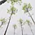 Spring Tree 3D Models Collection 3D model small image 7