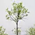 Spring Tree 3D Models Collection 3D model small image 1