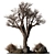 Outdoor Garden Plants 640 3D model small image 1
