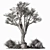 Outdoor Garden Plants 640 3D model small image 5