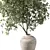 Olive Branch Bouquet Plant 3D model small image 2