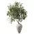 Olive Branch Bouquet Plant 3D model small image 3