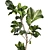 3D Plant & Decor Collection 3D model small image 5