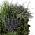 Outdoor Bush Set 3D Models 3D model small image 5