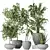 Indoor Plant Set 3D Models 3D model small image 1