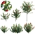 Versatile 3D Plant Models Set 3D model small image 1