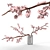 Sakura Blossom Branch Vase Decor 3D model small image 1