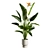 Tropical Elegance: Bird of Paradise 3D model small image 5