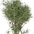  Elegant Indoor Plant Set 3D model small image 2