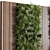 Corona Vertical Green Wall Display 3D model small image 3