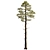 Tall Pinus 9 Tree Model 3D model small image 1