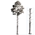 Tall Pinus 9 Tree Model 3D model small image 3