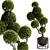 TurboSmooth Topiary Plant 30 3D model small image 1