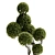 TurboSmooth Topiary Plant 30 3D model small image 3