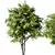 Russian Forest Tree No.124 3D model small image 2