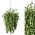 Modern Hanging Plant Set Trio 3D model small image 2