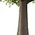 European Ash Tree 3D Model 3D model small image 3