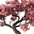 Bonsai Set Indoor Plant 3D model small image 2