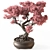 Bonsai Set Indoor Plant 3D model small image 3