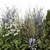  Backyard Landscape Outdoor Garden Set 3D model small image 2