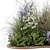  Backyard Landscape Outdoor Garden Set 3D model small image 3