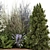  Backyard Landscape Outdoor Garden Set 3D model small image 4