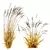 Grass Variety 3D Model Pack 3D model small image 4