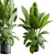 Marble Vase Dieffenbachia Maculata Set 3D model small image 5