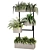 Premium Indoor Plants Set Renders 3D model small image 2