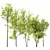 Spring Acer Tree Collection 3D 3D model small image 1