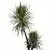 3D Yucca HousePlant Set 3D model small image 3