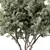 Whispering Pine Tree Sculpture 3D model small image 3