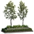 Outdoor Plant 26 Replica Statute 3D model small image 2