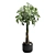 Money Tree in Elegant Planter 3D model small image 2