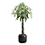 Money Tree in Elegant Planter 3D model small image 5