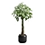 Money Tree in Elegant Planter 3D model small image 6