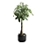 Money Tree in Elegant Planter 3D model small image 7