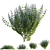 Versatile 3D Plant Models Collection 3D model small image 2