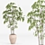 Botanical Bliss Indoor Greenery Set 3D model small image 3