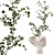 Blossom Indoor Plants Collection 3D model small image 2