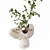 Blossom Indoor Plants Collection 3D model small image 4
