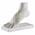 Contemporary Foot Sculpture Art Piece 3D model small image 5