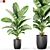 Greenery Variety 1131 3D model small image 1