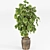 Pothos Plant Wrapped Wooden Branches 3D model small image 3