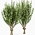 Archived Gray Alder & Pollard Willow 3D model small image 4