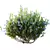 Tropical Ixora Jasmine Gardens Models 3D model small image 2