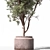 Unique Tree in Pot Option 3D model small image 3