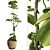 3D Tree Plant Model Collection 3D model small image 1