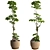 3D Tree Plant Model Collection 3D model small image 4